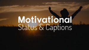 Best Motivational Status For Success & Best Success Messages, Quotes
