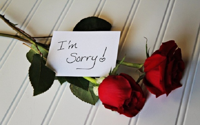 Best Sorry Quotes To Express Your Apologies - Best Status