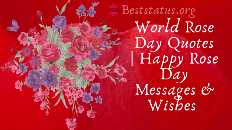 Rose Day Images For Best Friend | World Rose Day 2023 Status