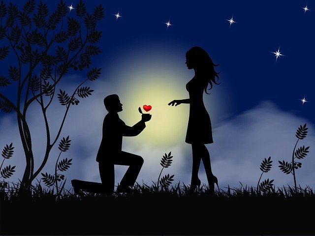 Happy Propose Day Status In Hindi Shayari SMS Message And Quotes