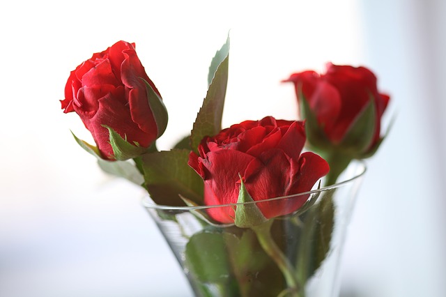 Happy Rose Day images