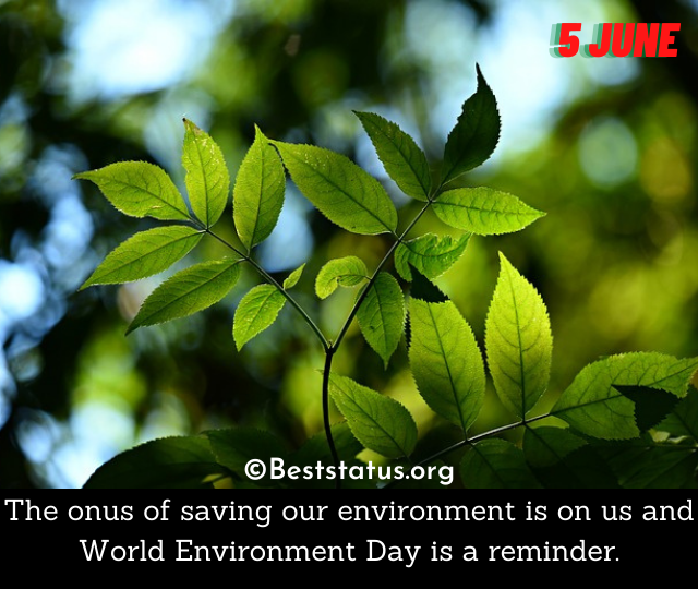 Inspirational World Environment Day Slogans And Quotes Best Status