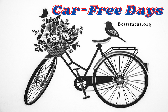 World Car-Free Day 2021: Quotes, Status, Messages, And Greetings